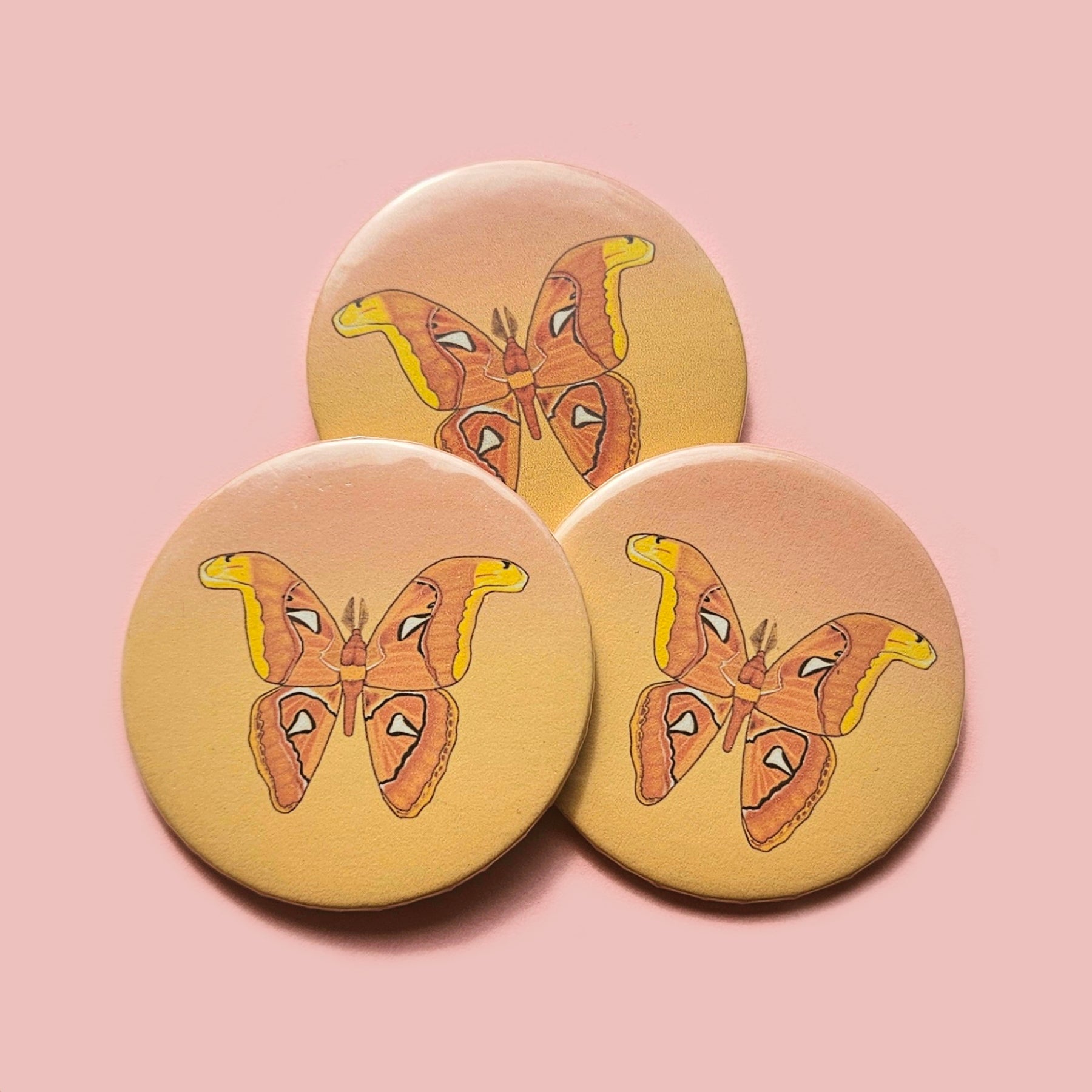 Colorful Moths Large Button 2.5"  / Io Moth, Atlas Moth, Rosy Maple Moth, Cecropia Moth, Emerald Moth,  Luna Moth