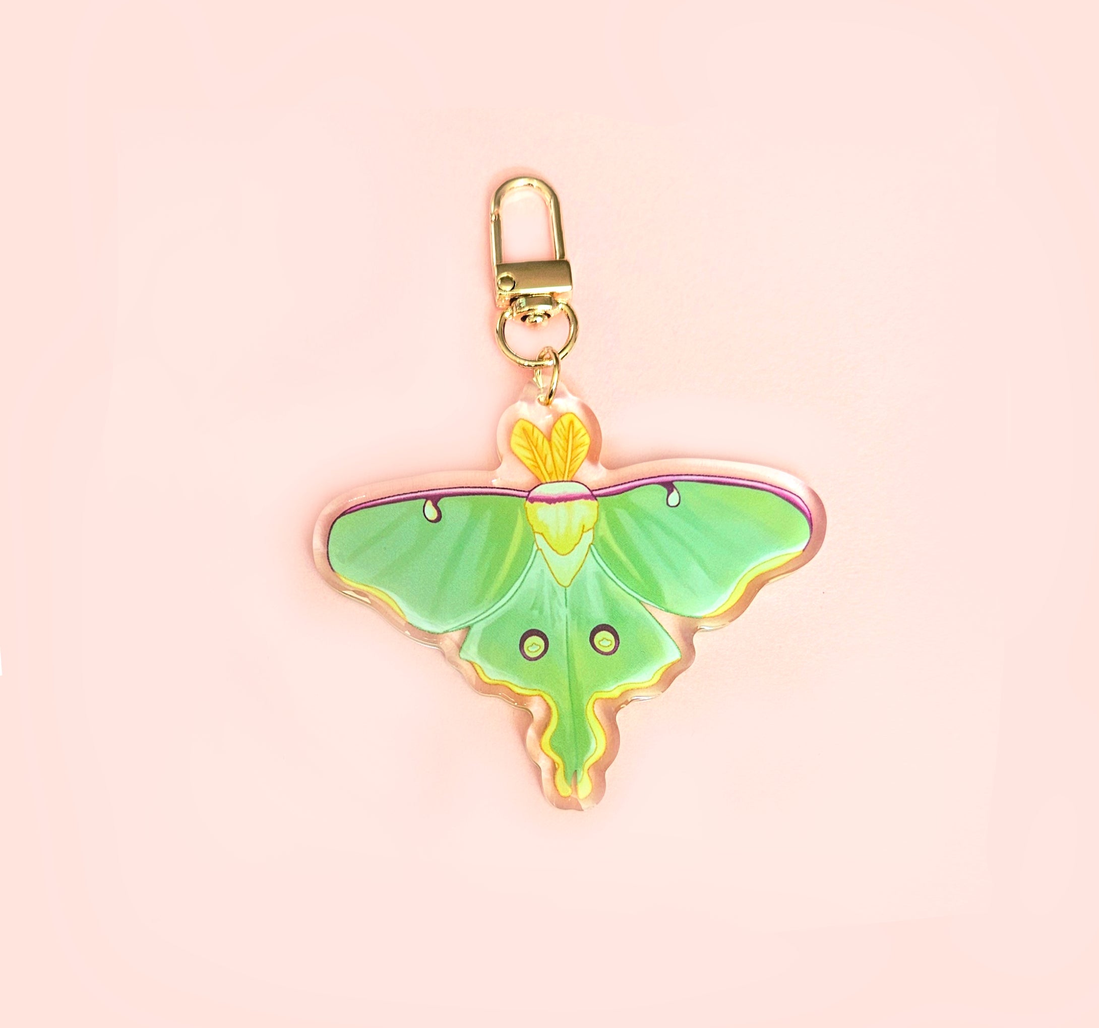 Various Moth Acrylic 2.5" Keychains / Luna Moth, Atlas Moth, Cercropia Moth, Io Moth, Rosy Maple Moth, Emerald Moth