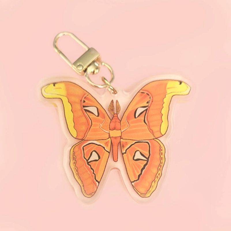 Various Moth Acrylic 2.5" Keychains / Luna Moth, Atlas Moth, Cercropia Moth, Io Moth, Rosy Maple Moth, Emerald Moth