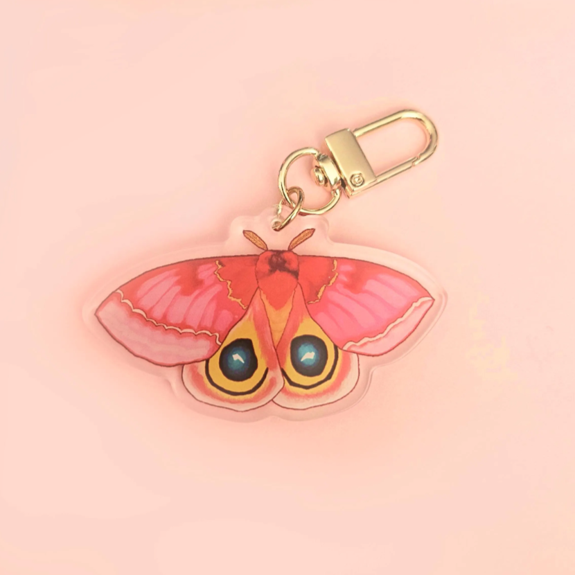 Various Moth Acrylic 2.5" Keychains / Luna Moth, Atlas Moth, Cercropia Moth, Io Moth, Rosy Maple Moth, Emerald Moth
